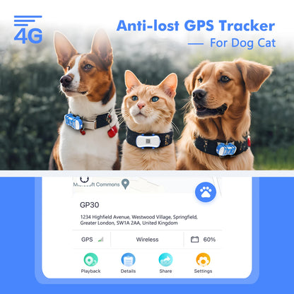 ‌4G Dog Cat GPS Tracker for Pets