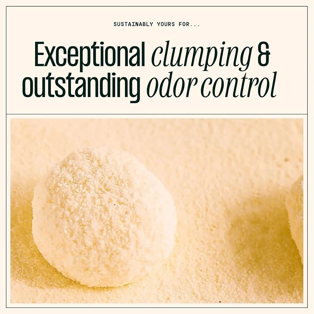 10 lbs Exceptional Odor Control Cat Litter