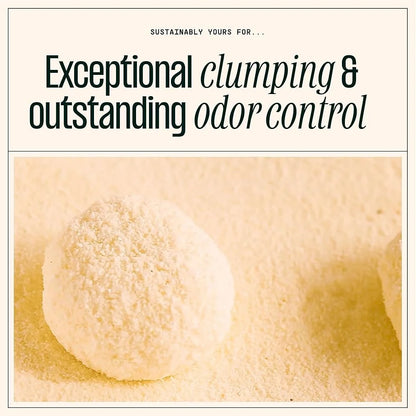 10 lbs Exceptional Odor Control Cat Litter