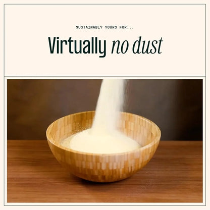 10 lbs Exceptional Odor Control Cat Litter