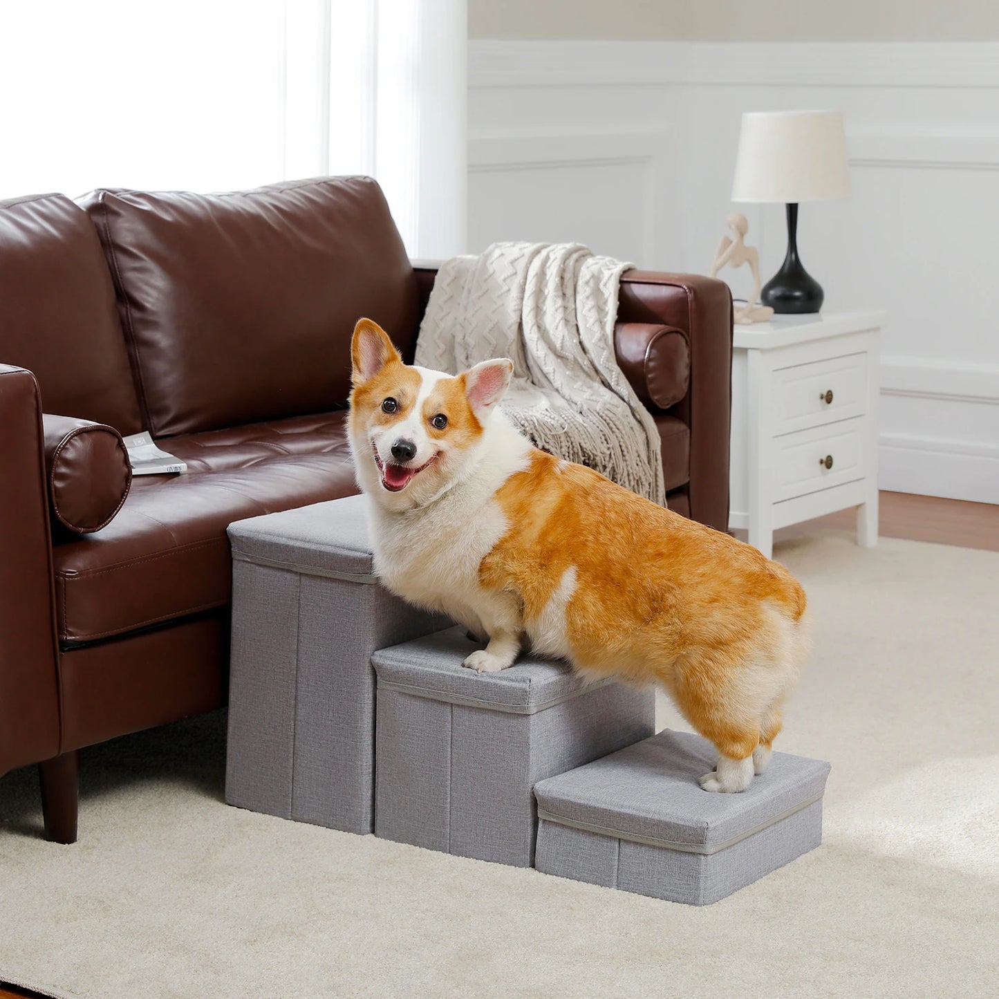 3-Tier Foldable Pet Stair/Ramp w/Storage Box